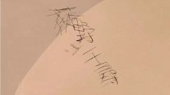 那些类型的名字需要改名字