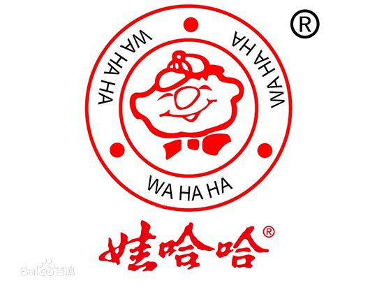 娃哈哈公司名字的运势影响